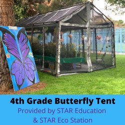 4th Grade Butterfly Tent - Provided by STAR Education & STAR Eco Station